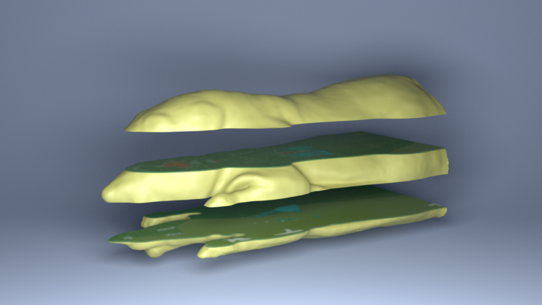 2-3D модель фантома крысы